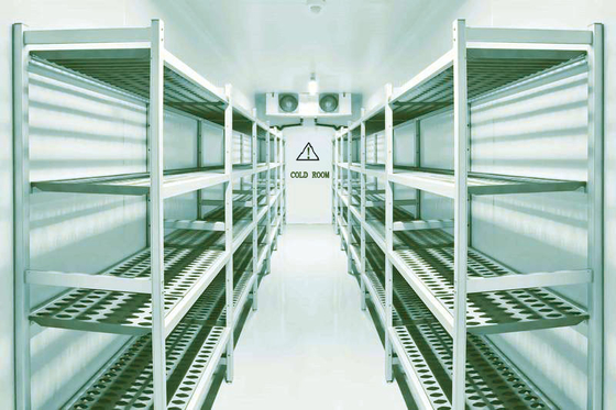 Customized Plastic Parts Cold Room Accessories Polyurethane Foaming Filling Plastic Extrusion Profiles